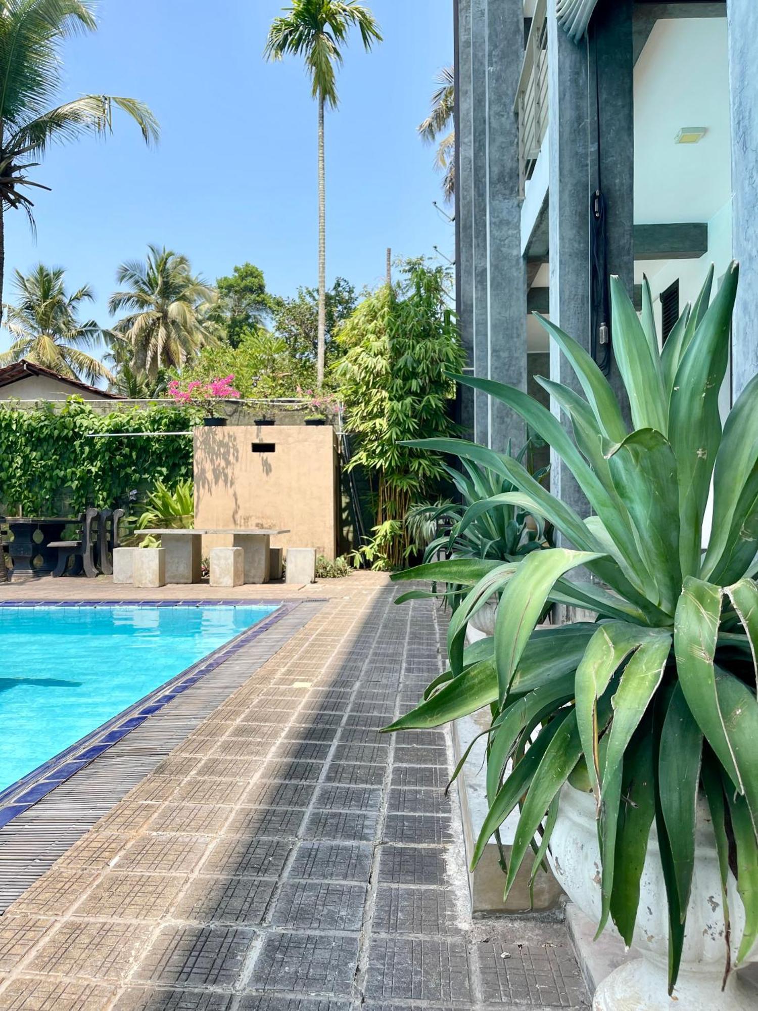 Olanro Hotel Negombo Eksteriør billede