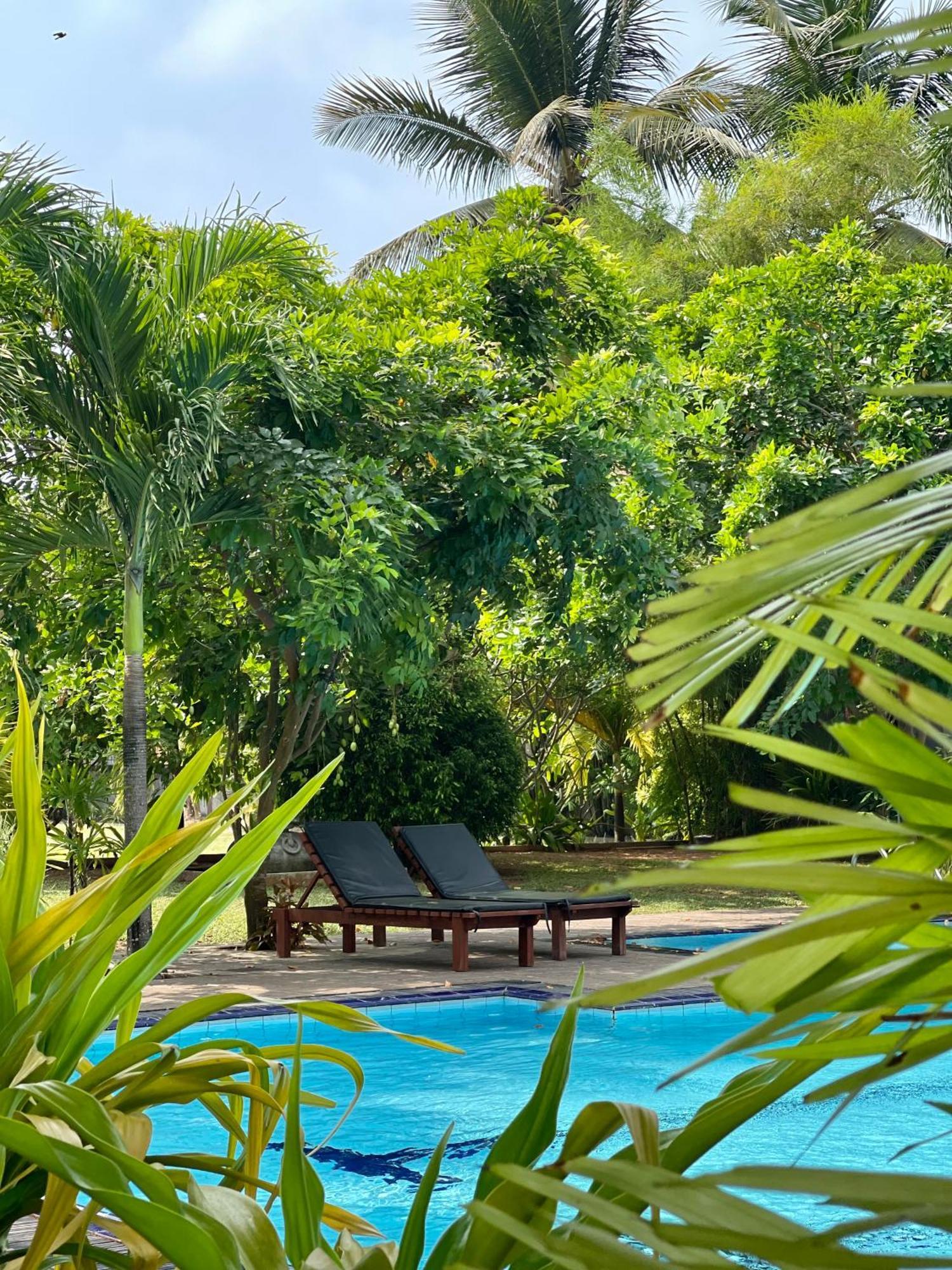 Olanro Hotel Negombo Eksteriør billede